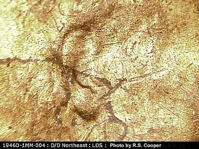 Die-stage C marker on 1946D•1MM•004 (1946 Repunched Mint Mark).