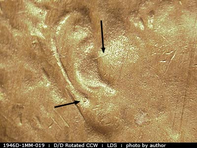 Die-stage C marker on 1946D•1MM•019 (1946 Repunched Mint Mark).