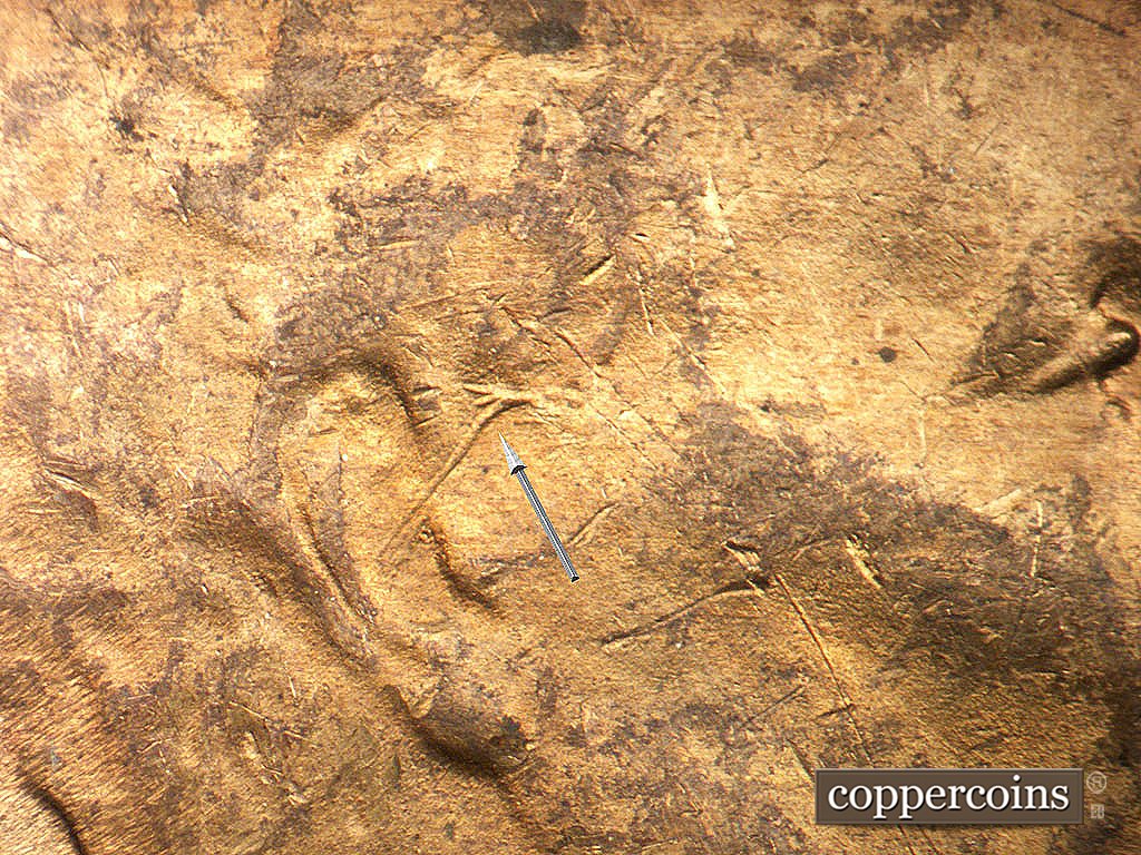 Die-stage B marker on 1946D•1MM•020 showing Die gouge near ear.