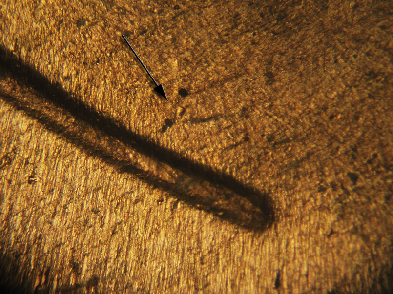 Die-stage C marker on 1946D•1MM•029 (1946 Repunched Mint Mark).