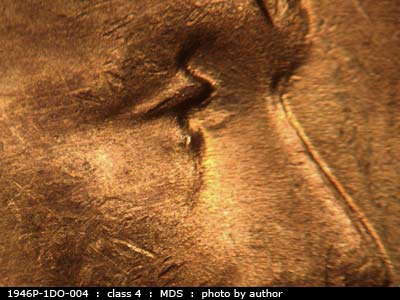 1946 Lincoln cent obverse, CopperCoins die 1946P•1DO•004.