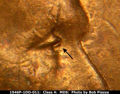 1946 Lincoln cent obverse, CopperCoins die 1946P•1DO•011.