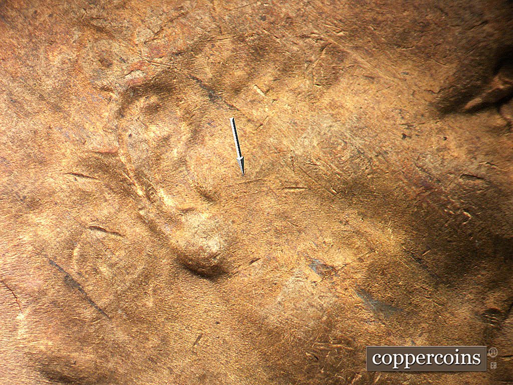 Die-stage A marker on 1946S•1MM•076 showing Light concentric sratches in fron of ear.