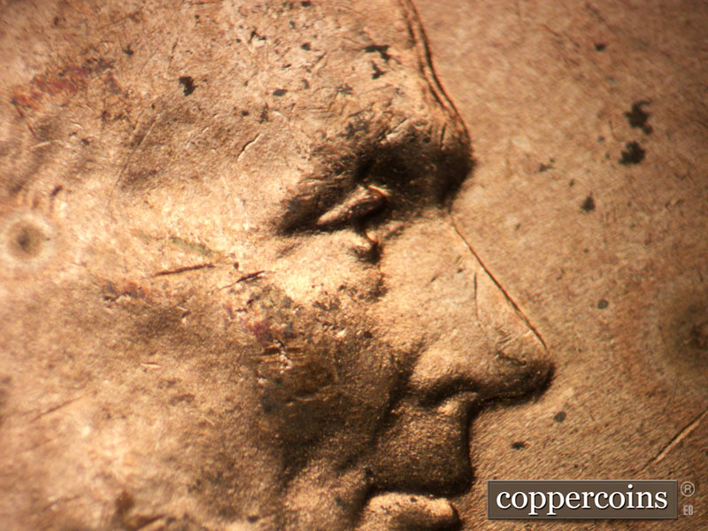 1949 Lincoln cent obverse, CopperCoins die 1949D•1DO•002.