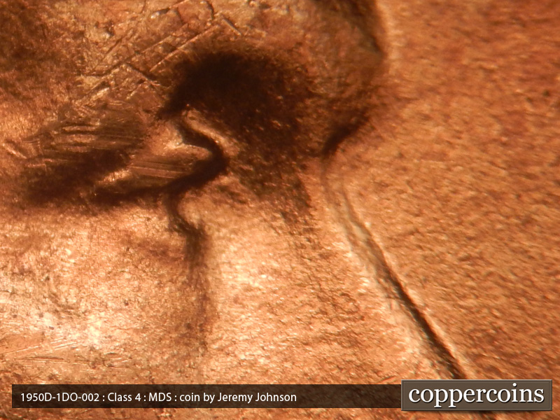 1950 Lincoln cent obverse, CopperCoins die 1950D•1DO•002.