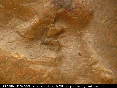 1950 Lincoln cent obverse, CopperCoins die 1950P•1DO•002.