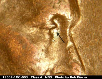 1950 Lincoln cent obverse, CopperCoins die 1950P•1DO•003.