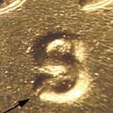 Pre-attribution photo for 1950S•1MM•014