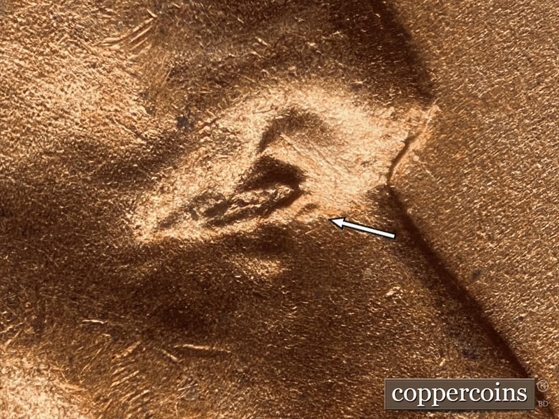 1951 Lincoln cent obverse, CopperCoins die 1951D•1DO•003.