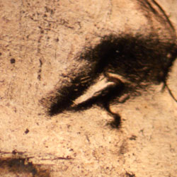 Pre-attribution image for 1951D•1DO•004