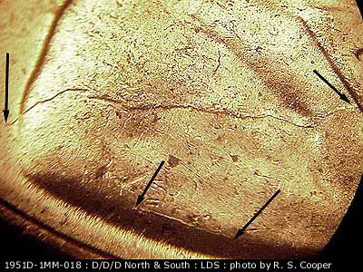 Die-stage C marker on 1951D•1MM•018 (1951 Repunched Mint Mark).