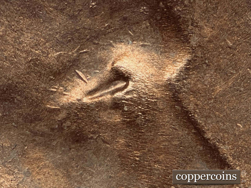 1952 Lincoln cent obverse, CopperCoins die 1952D•1DO•006.