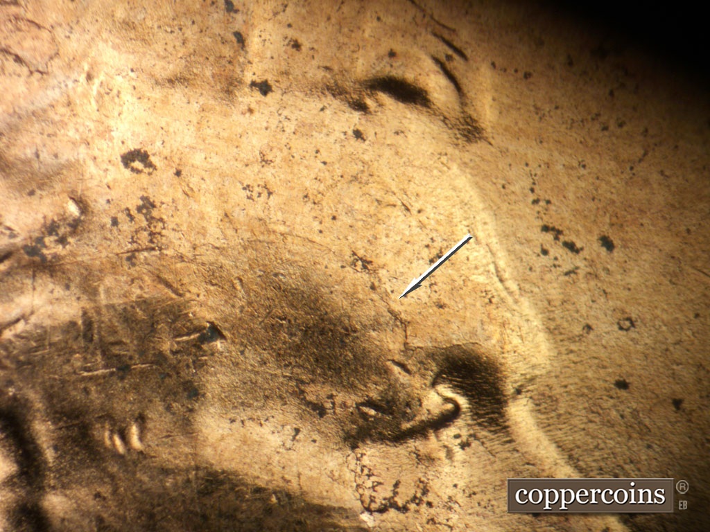 Die-stage C marker on 1952D•1MM•099 showing Die crack on eyebrow. Die crack on forehead.