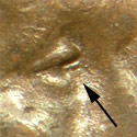 Pre-attribution image for 1952P•1DO•002