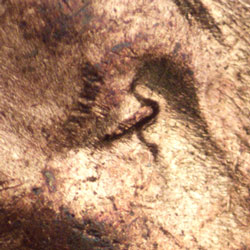 Pre-attribution image for 1952P•1DO•003