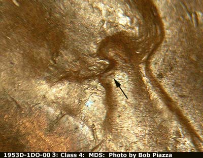 1953 Lincoln cent obverse, CopperCoins die 1953D•1DO•003.