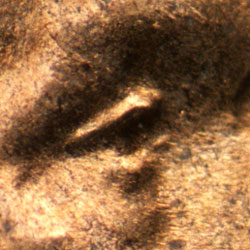 Pre-attribution image for 1953D•1DO•004