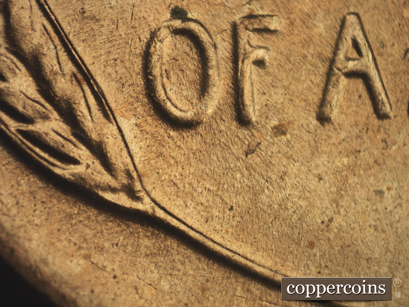 Die-stage B marker on 1953D•1DO•005 (1953 Doubled Die Obverse).
