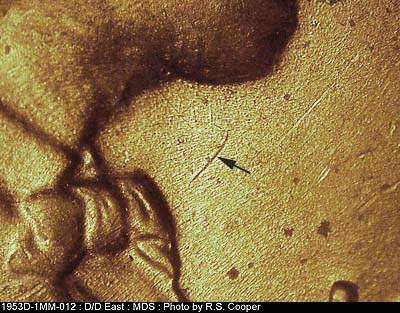 Die-stage B marker on 1953D•1MM•012 (1953 Repunched Mint Mark).