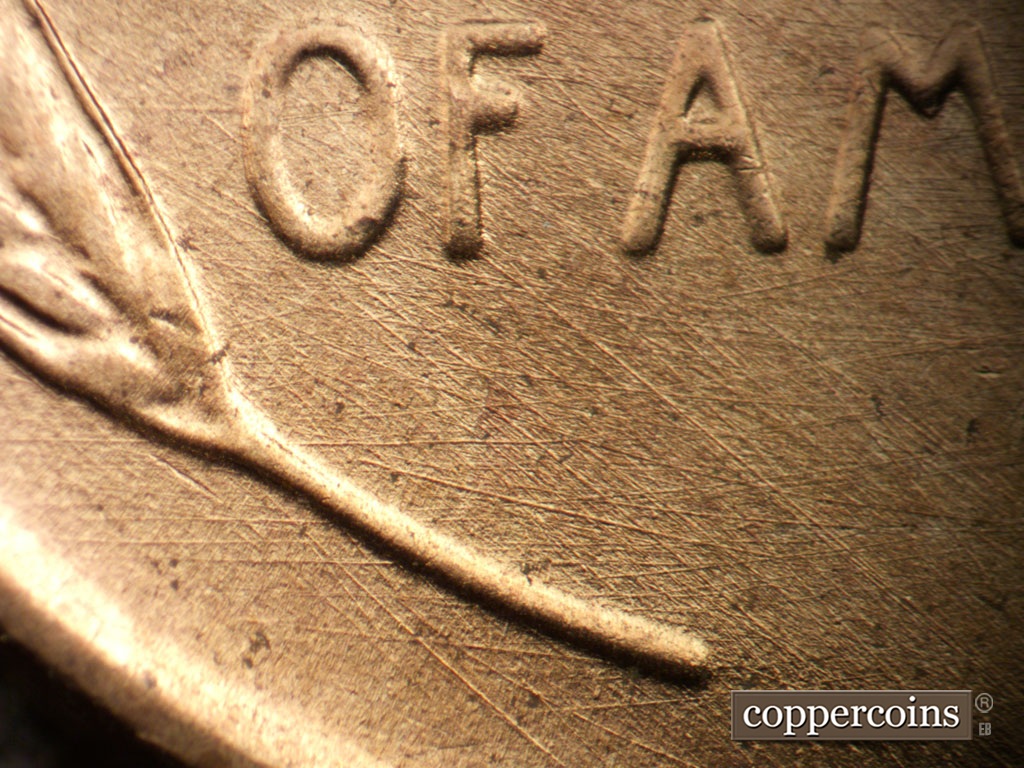 Die-stage B marker on 1953D•1MM•031 showing Multidirectional die scratches through left wheat stem.