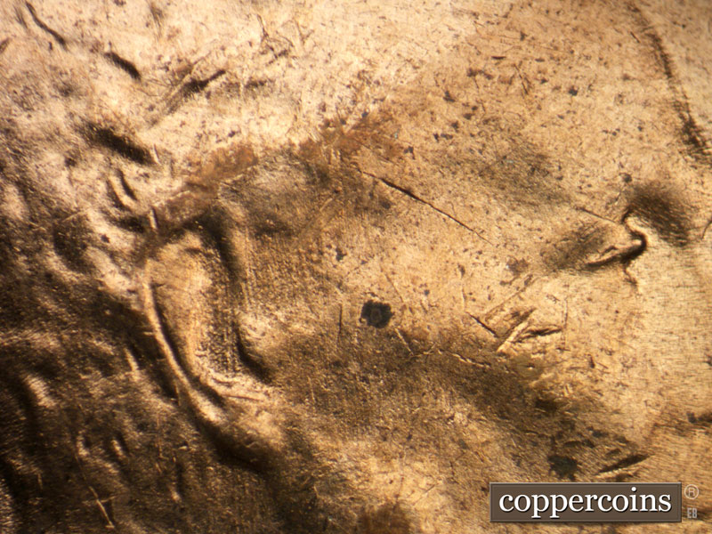 Die-stage C marker on 1953D•1MM•053 showing N/S die scratches through ear and jaw.