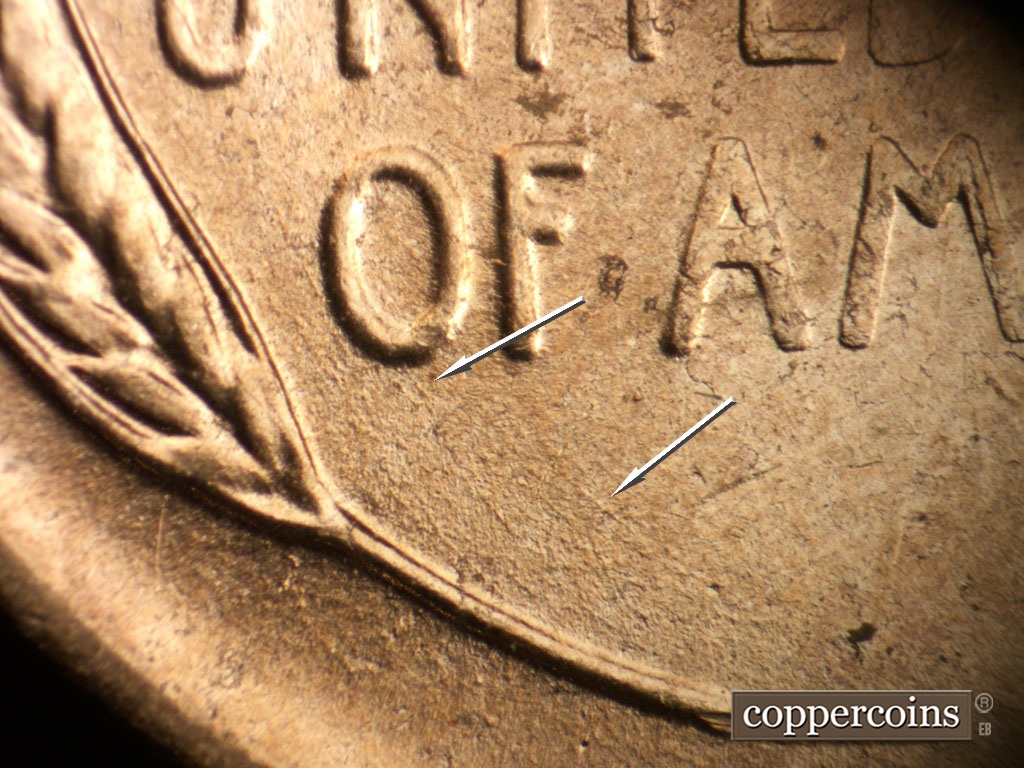 Die-stage B marker on 1954D•1MM•046 showing Light SE die scratch in field above left wheat stem. short light die scratches from bottom of O in OF.