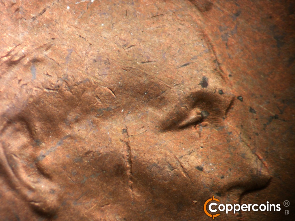 Die-stage B marker on 1954P•1DO•004 showing Closeup of extra eyelid south of primary.