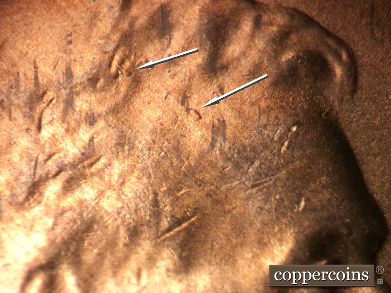 Die-stage B marker on 1954S•1MM•007 showing Die gouge on forehead.