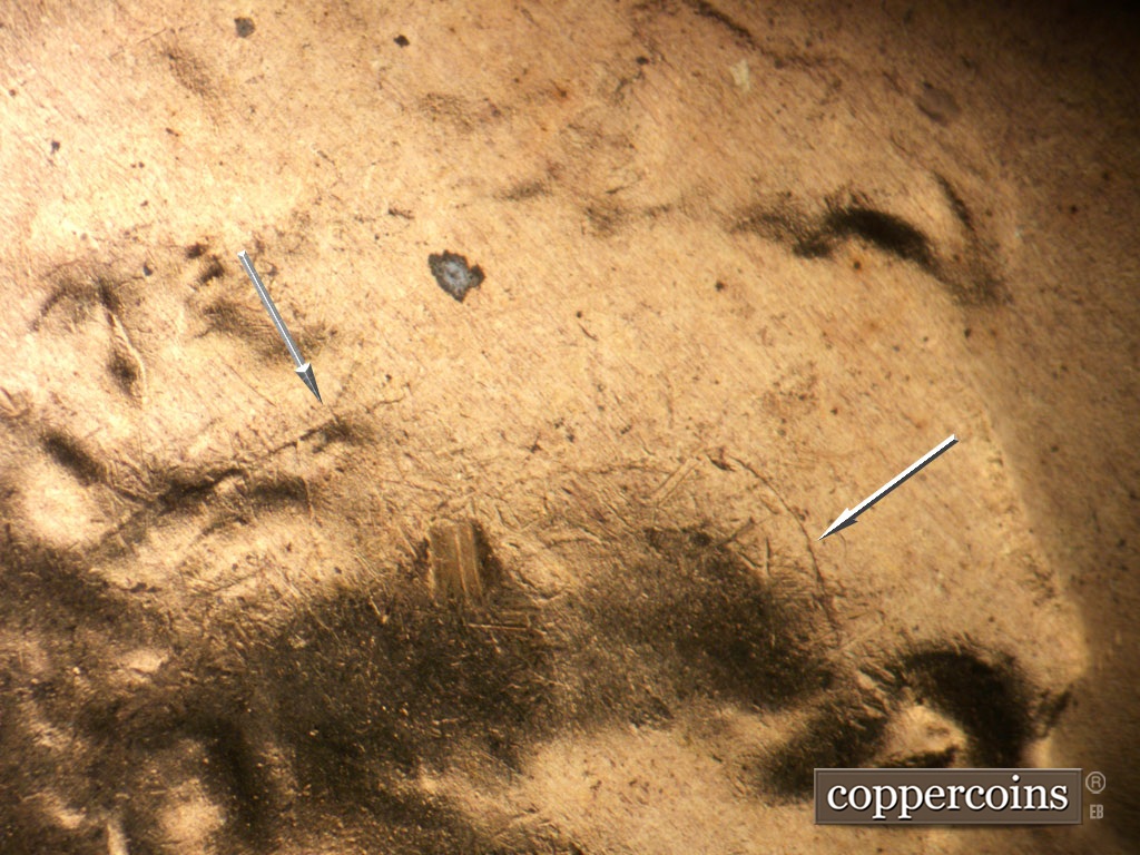 Die-stage D marker on 1954S•1MM•007 showing Die cracks in hair and on forehead. Die gouge on forehead not visible.