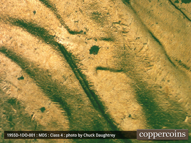 Die-stage B marker on 1955D•1DO•001 (1955 Doubled Die Obverse).