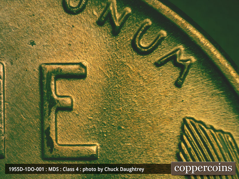 Die-stage B marker on 1955D•1DO•001 (1955 Doubled Die Obverse).