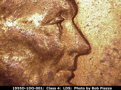 Die-stage C marker on 1955D•1DO•001 (1955 Doubled Die Obverse).