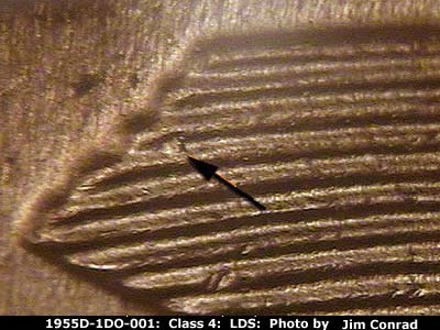 Die-stage C marker on 1955D•1DO•001 (1955 Doubled Die Obverse).