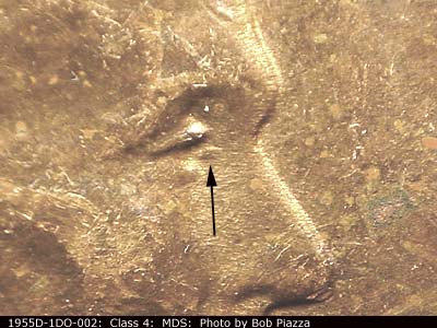 1955 Lincoln cent obverse, CopperCoins die 1955D•1DO•002.