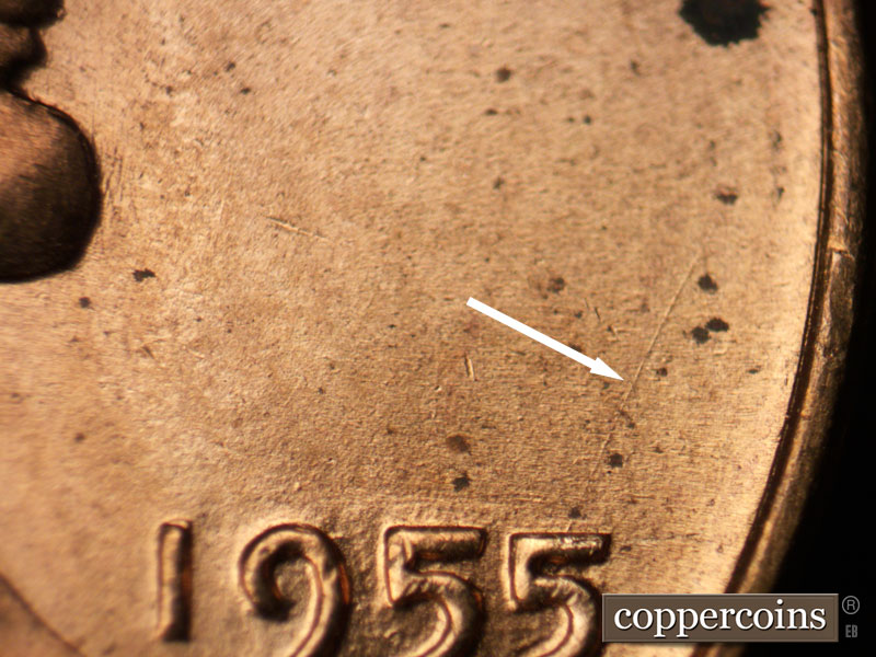 Die-stage B marker on 1955D•1DO•003 (1955 Doubled Die Obverse).