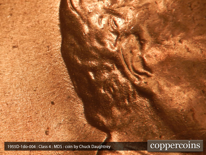 Die-stage B marker on 1955D•1DO•004 (1955 Doubled Die Obverse).
