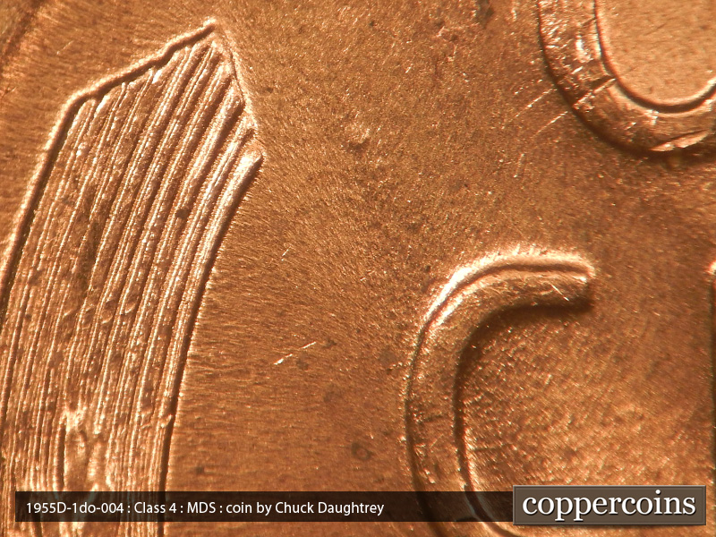 Die-stage B marker on 1955D•1DO•004 (1955 Doubled Die Obverse).