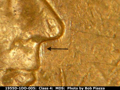 Die-stage B marker on 1955D•1DO•005 (1955 Doubled Die Obverse).
