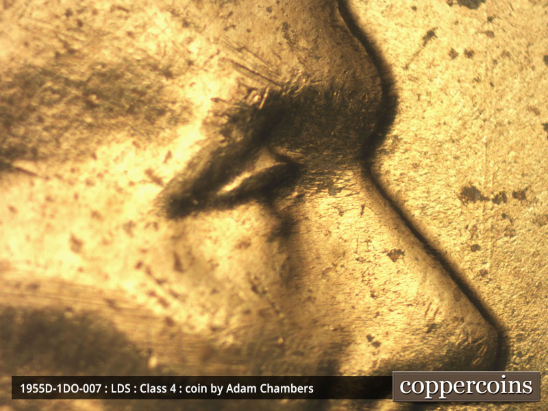 Die-stage C marker on 1955D•1DO•007 (1955 Doubled Die Obverse).