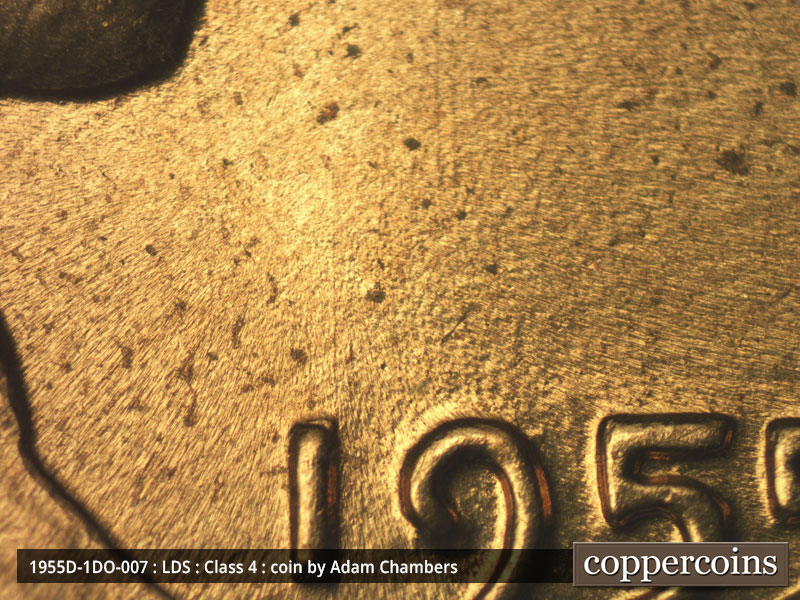 Die-stage C marker on 1955D•1DO•007 (1955 Doubled Die Obverse).