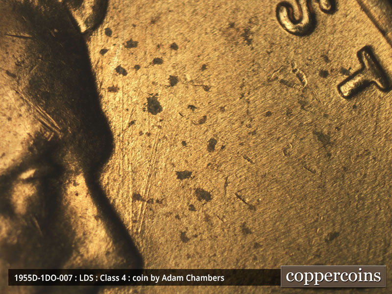 Die-stage C marker on 1955D•1DO•007 (1955 Doubled Die Obverse).