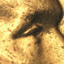 Pre-attribution image for 1955D•1DO•007