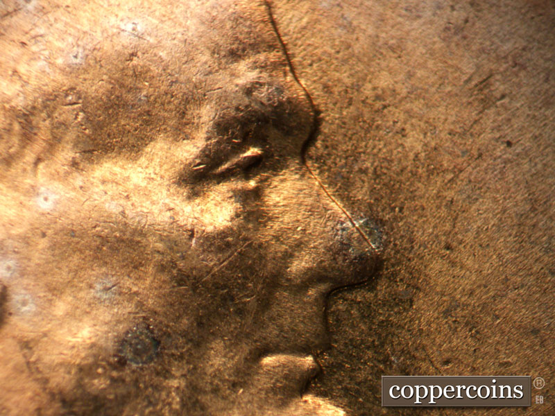 1955 Lincoln cent obverse, CopperCoins die 1955D•1DO•011.