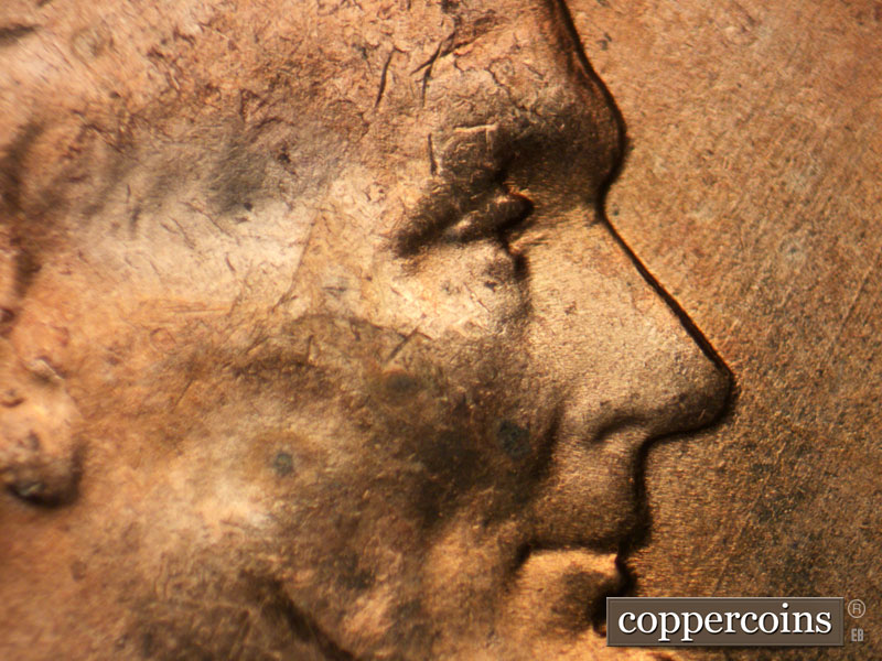 1955 Lincoln cent obverse, CopperCoins die 1955D•1DO•012.