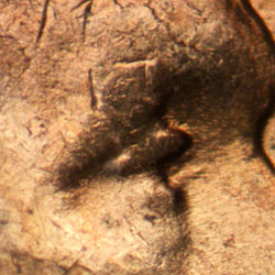 Pre-attribution image for 1955D•1DO•012