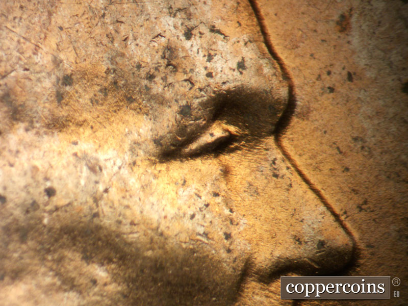 Die-stage C marker on 1955D•1DO•013 (1955 Doubled Die Obverse).
