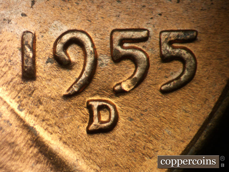 Die-stage C marker on 1955D•1DO•013 (1955 Doubled Die Obverse).