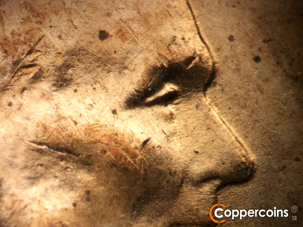 Die-stage C marker on 1955D•1DO•015 showing Extra eyelid south of primary.