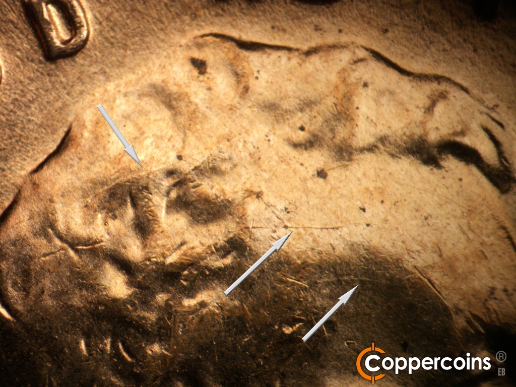 Die-stage C marker on 1955D•1DO•015 showing Die cracks in hair and across forehead.