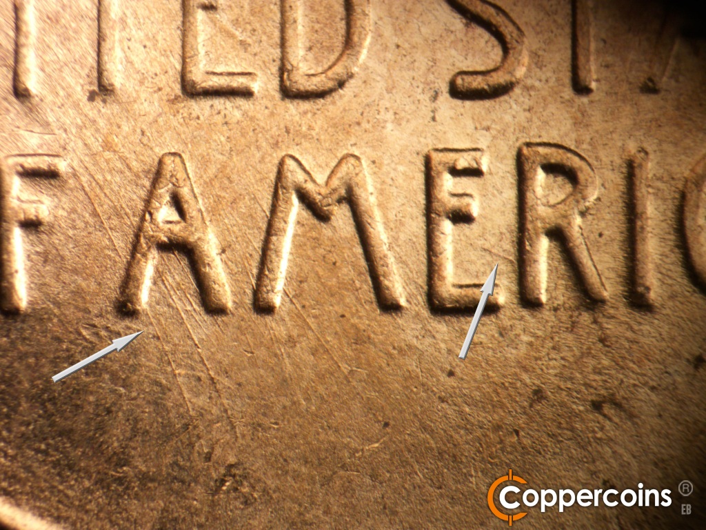 Die-stage C marker on 1955D•1DO•015 showing Group of SE die scratches through first A in AMERICA. ESE die scratch between ER in AMERICA.